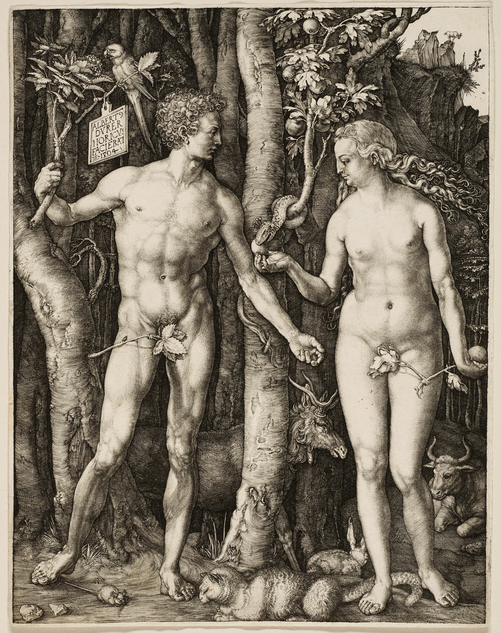 Albrecht Dürer
German, 1471-1528 — Adam and Eve